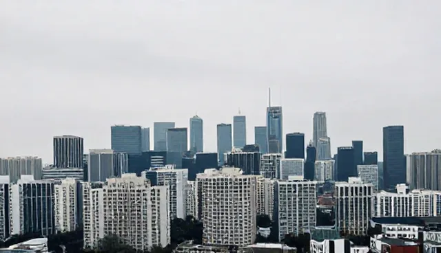 企业信用查询如何通过科技手段提升效率